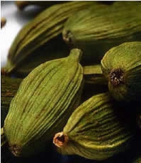 Cardamomo